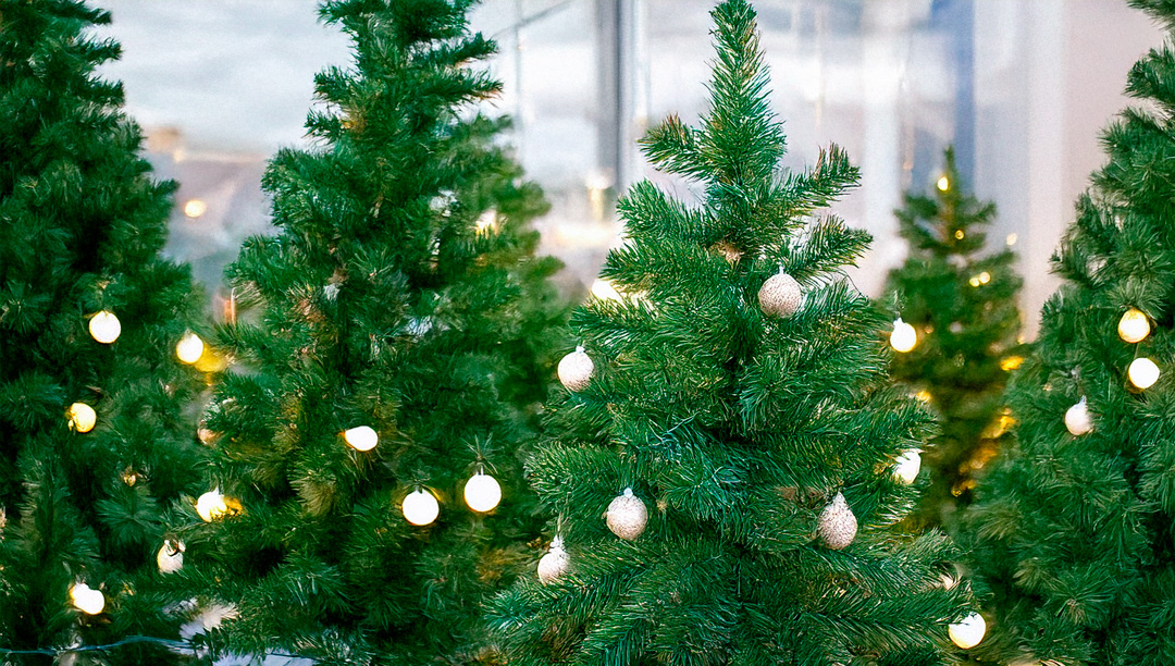 Die Geschichte des Weihnachtsbaums - Ein Symbol mit tiefen Wurzeln