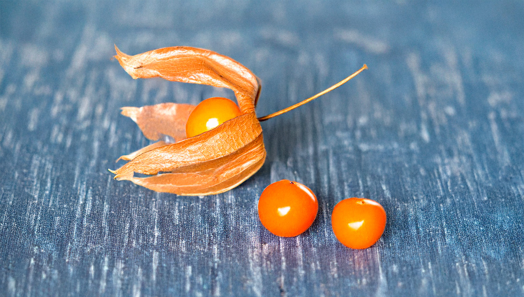 Physalis - Der exotische Vitamin-Booster mit vielfältigem Geschmack